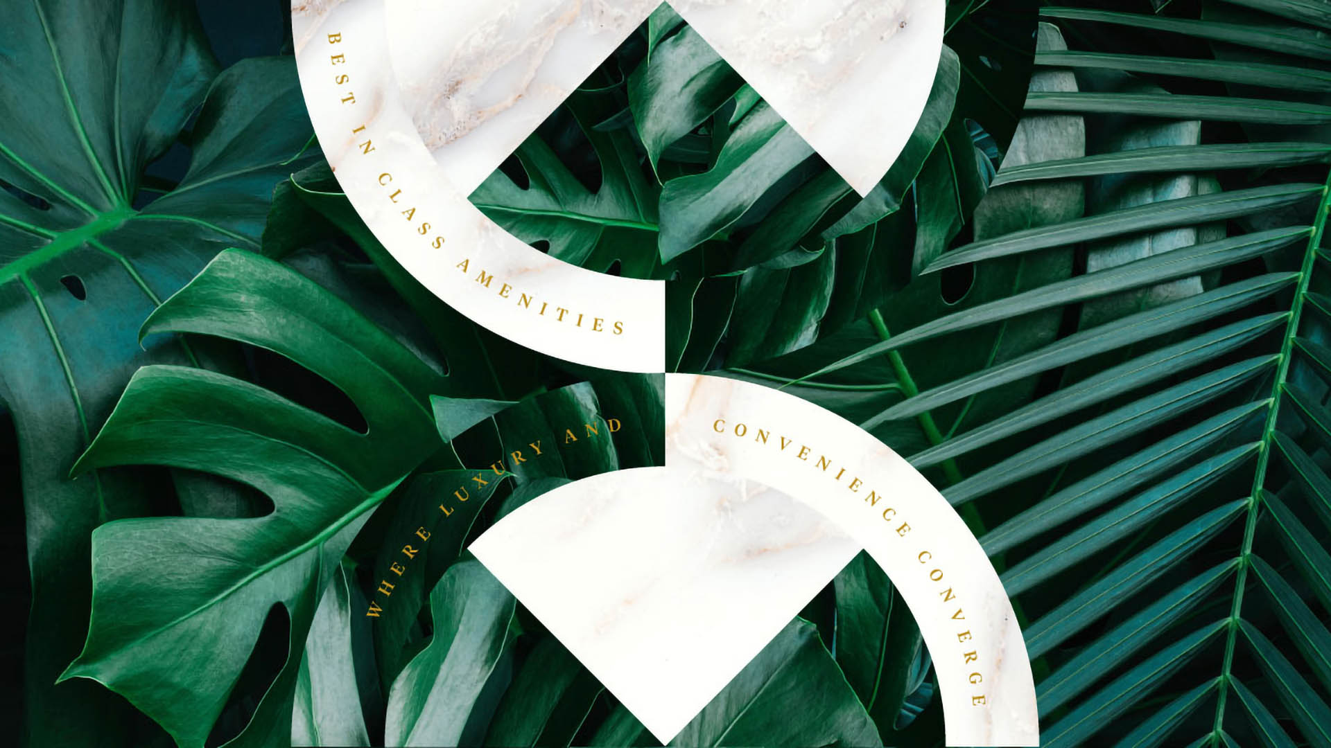 Geometric collage of palm fronds and marble.