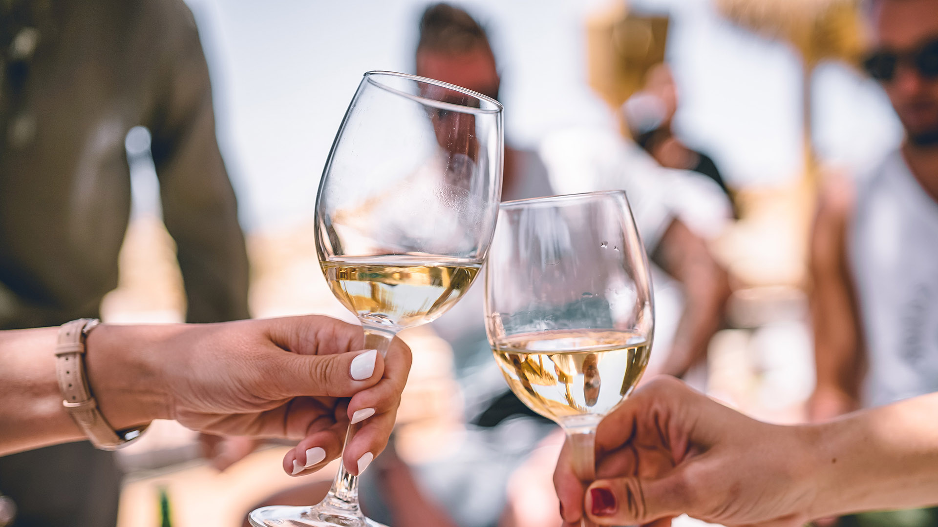 People making a toast with wine glasses.